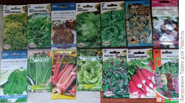 Не, ну салат-то я купила!