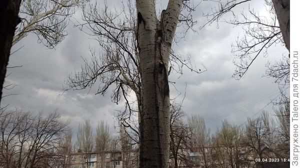 Туча приползла