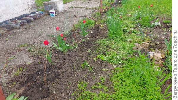 ...вот куда-то сюда