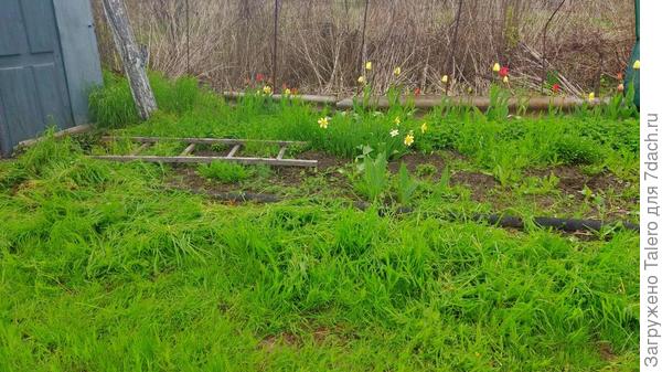 Это вид не «до», а «после», «до» выглядело примерно так, как на следующем фото