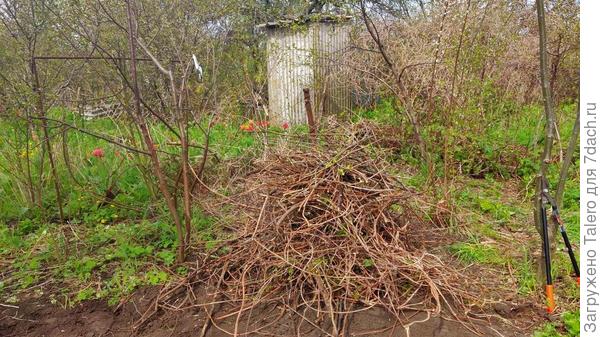 Отходы хмеля и обрезанные ветки вишни