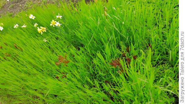 Тут я вообще не представляю, с какого конца её разбирать