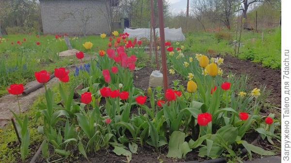 Пока было солнце, ринулась в работу, так что все фотографии уже междудождевые