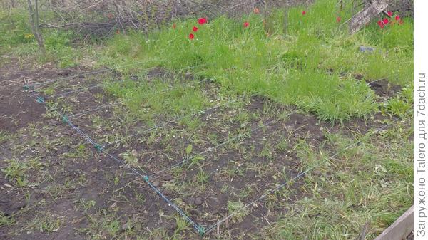 И тут тоже с травой воевать предстоит!