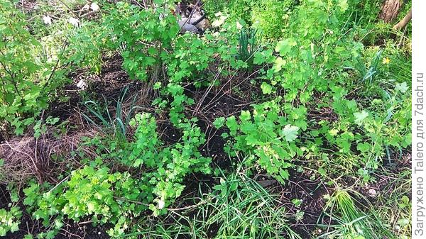 Ею пока ещё совсем не занималась