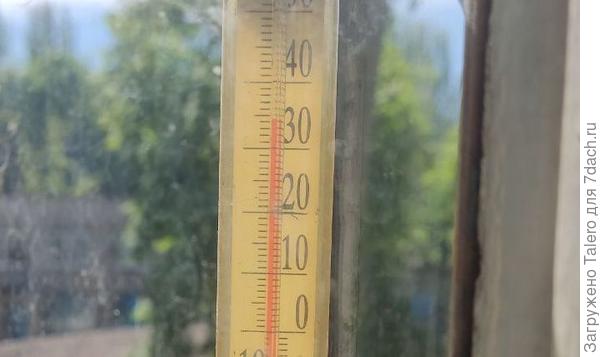 Это у нас вчера! Правда, на солнышке