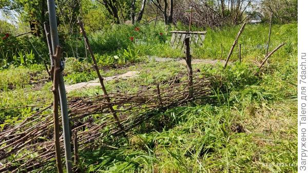 Плетень всё больше подгулявшим смотрится, но хоть какой рубеж