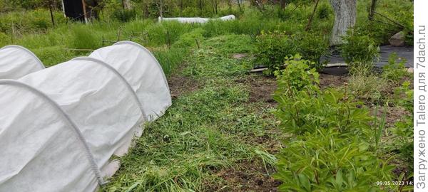 Хотя бы пройти теперь можно