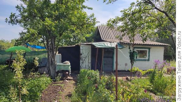 А напоследок — свежее каноническое фото дачки