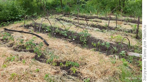 Теперь дальний угол выглядит так