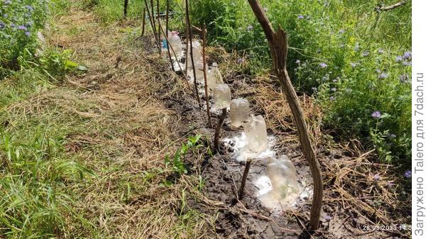 А так сегодня