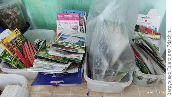 А семена всё надеются попасть на свободу!