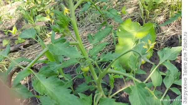 Они меня встретили во всеоружии