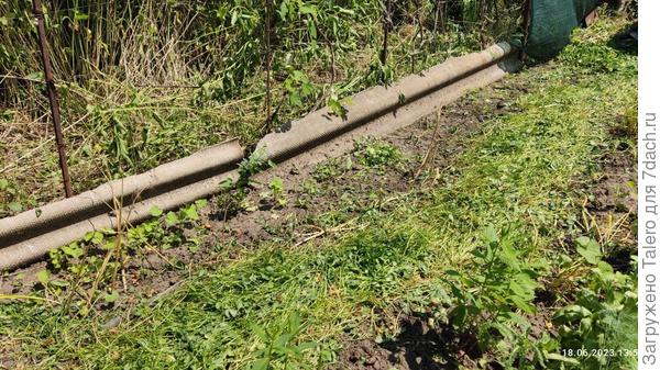 Их и осталось-то всего парочка!