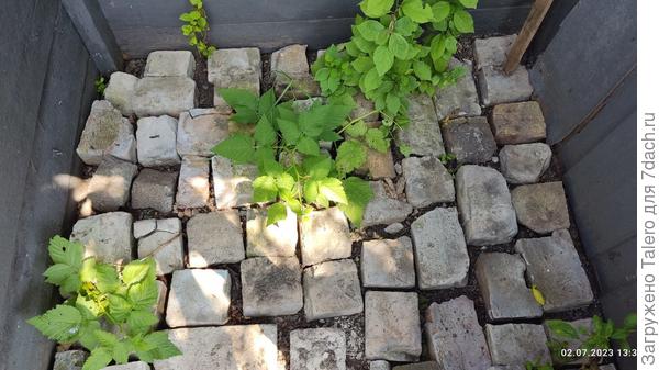 И душ так и не доделала...