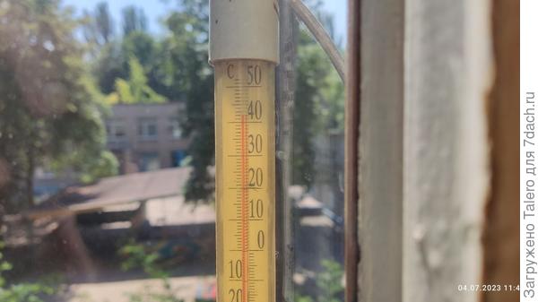 Но пока вот