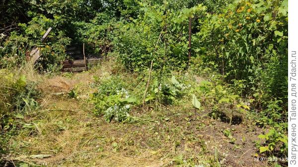 Потому что дорожка мне нужна