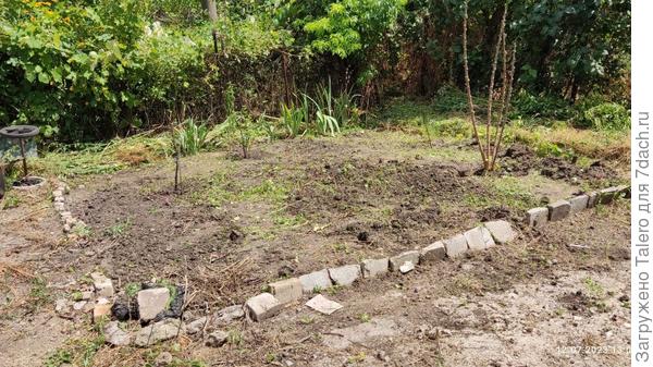 И вот результат