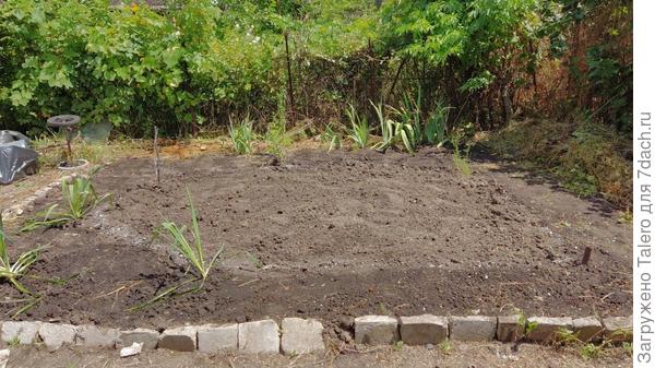 И так выглядит его начало