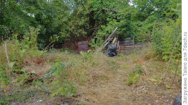 Клочок зарослей ещё остался, сил не осталось