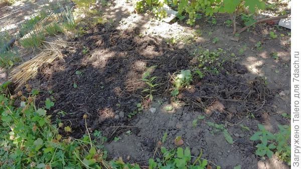 Перегной вышел так себе, куча корней так и не перепрела за всё время
