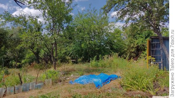 И почти всё скосила