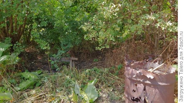 Всякий хреньпотреб свалила на задворки