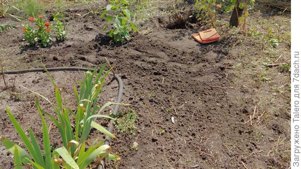 Благо он вообще рядом!