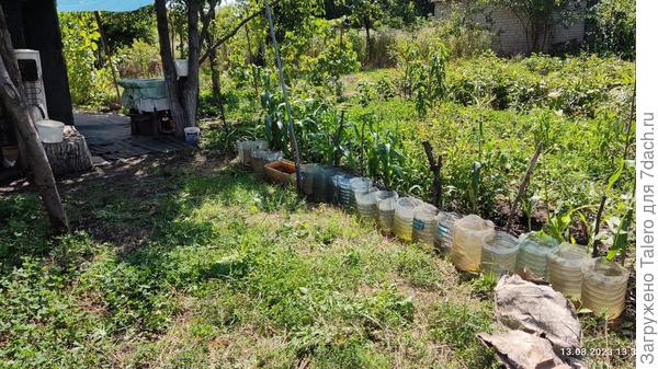 Зато водой запаслась!