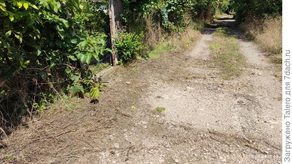 Да, внезапно выполола бурьян в районе калитки