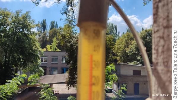 Не в фокусе, но понятно, думаю