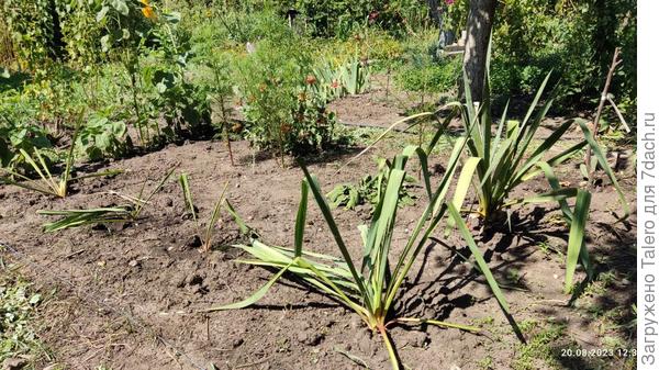 Получилось так