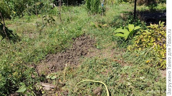 Результат почти не виден