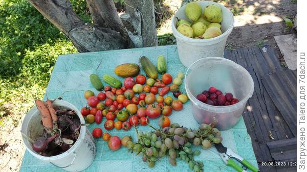 Пришлось скрести по сусекам