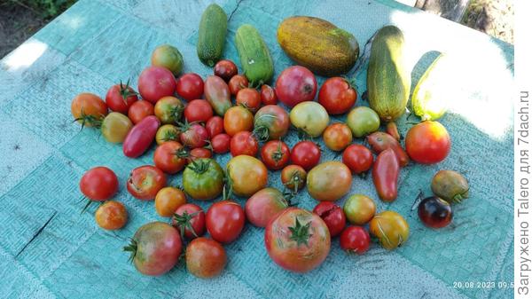 И вот и всё!