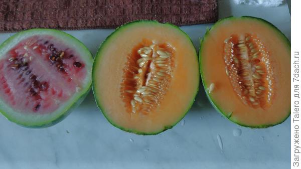 Отвалившиеся арбузик и дынька: не совсем спелые, но вполне вкусные, хоть у арбуза и семочек куча