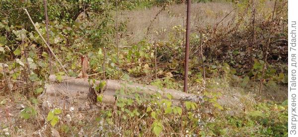 Здесь разве что надо будет расчистить полосу вдоль забора