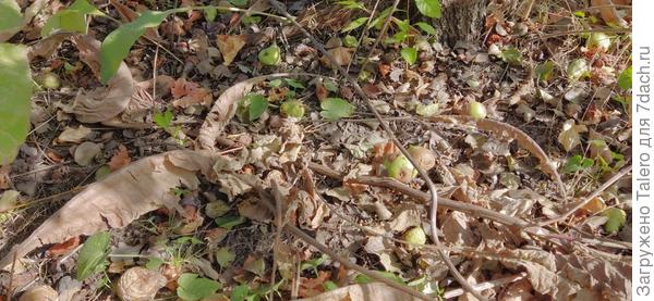 С чёрным проще, но сложнее