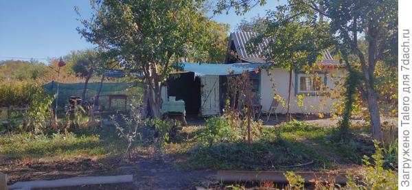 И природы увяданье