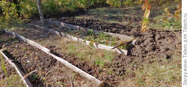 Вскопала странной конфигурацией