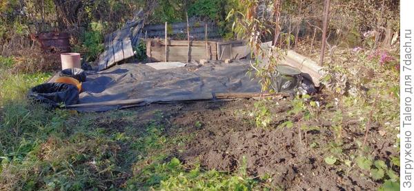 Задворки теперь неузнаваемые