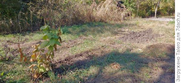 Получилось чисто поле