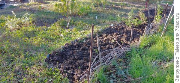 Ещё одна расчищенная грядка