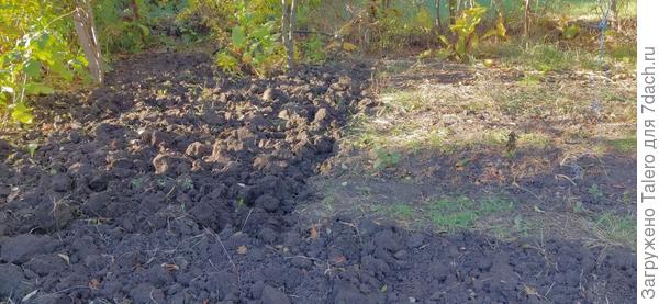 Копать ещё не перекопать, эх