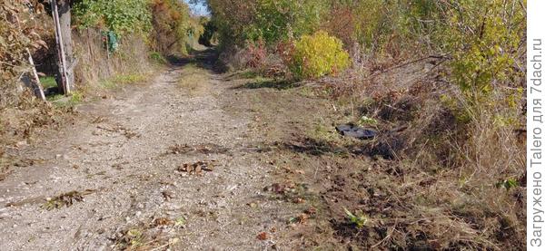 Получилось хоть как-то