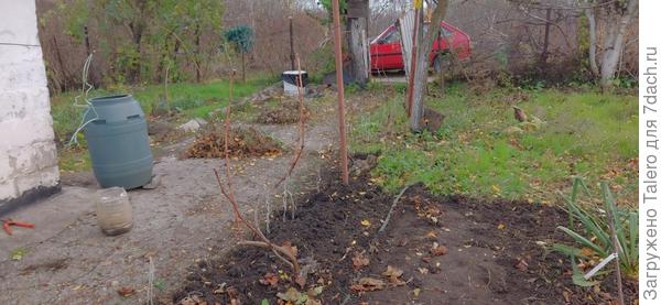 Да заодно и вскопала ещё кусок дорожки