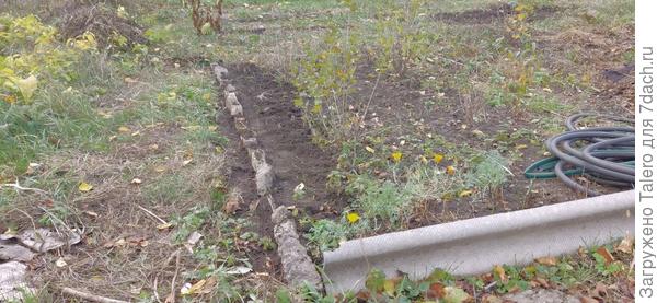 Сын тем временем вкопал бортик крыжовниковой грядке