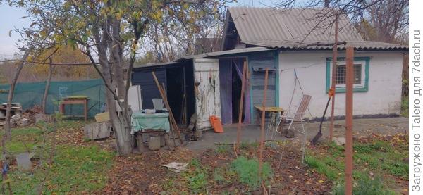 Дачу регулярно навещают коты