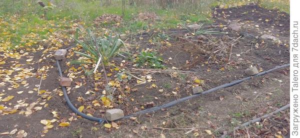 Ещё одно культурное новшество