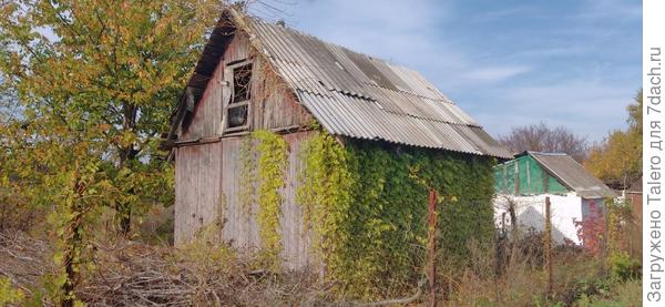 «В гостях у сказки»: думала, что его декорирует плющ, оказалось, какая-то жимолость